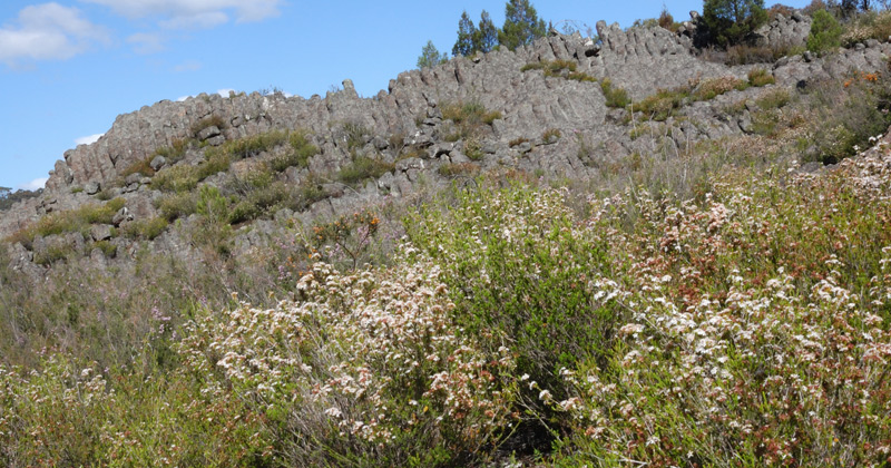 Devils Hole - Mt Canobolas