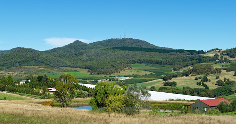 Mount Canobolas Earth First | Not the best place for a bike track