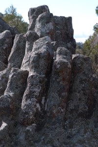 Columnar Basalt formation at Mt Canobolas. Photo by Dr Richard Medd