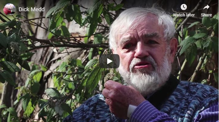 VIDEO still Mount Canobolas: A genetic treasure trove – Dr Richard Medd